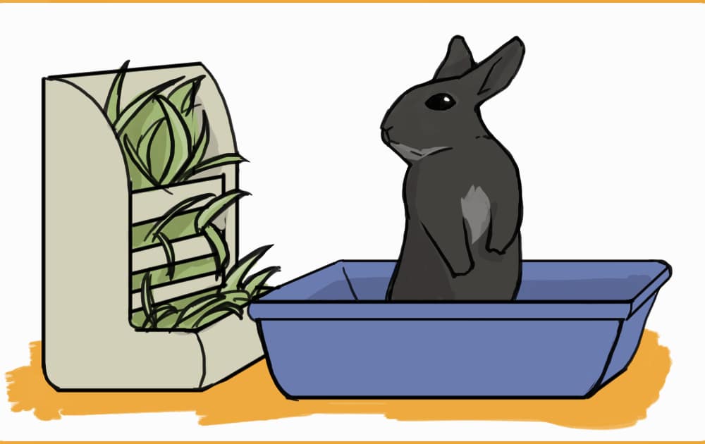 Best rabbit litter outlet tray