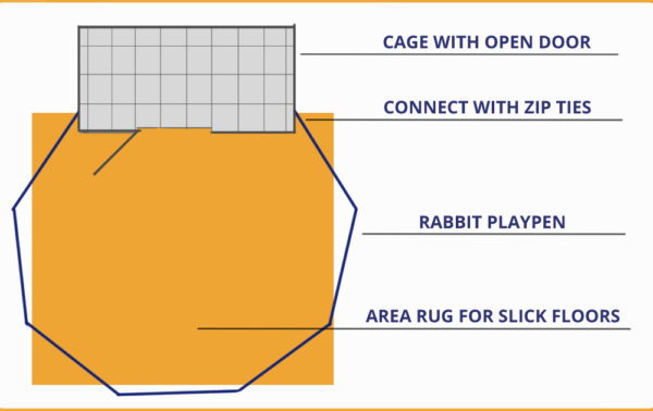 6 Reasons Rabbits Will Flip Over Their Food and Water Bowls