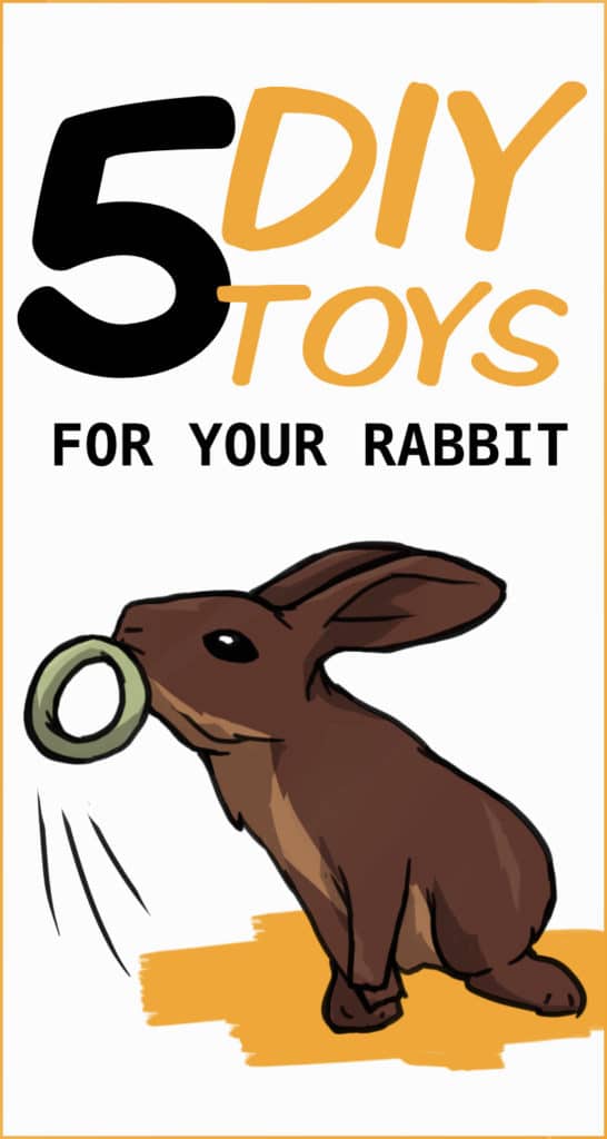 Easy Toys Rabbit 5 Easy DIY Rabbit Toys (step-by-step instructions and pictures)