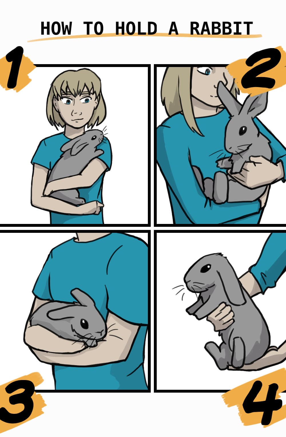 How To Hold a Rabbit (An Illustrated Guide)
