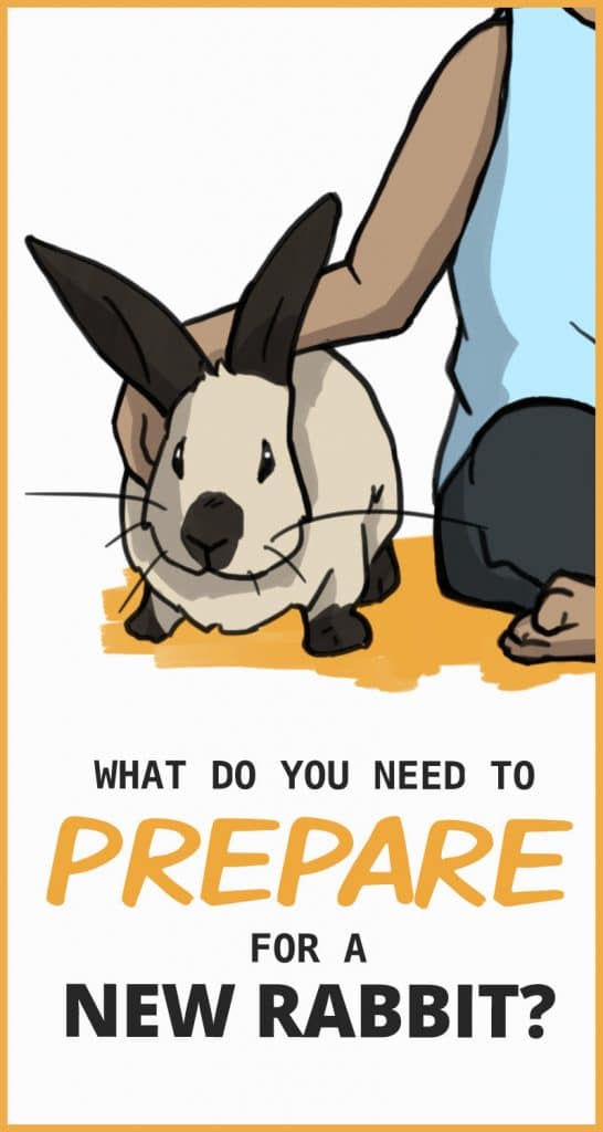 What You Need to Prepare for a New Rabbit (With Checklist!)