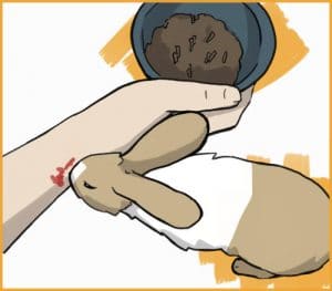 5 Steps to Take If You are Bitten By a Rabbit