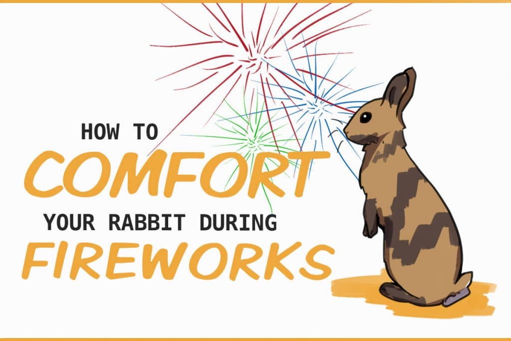 How to Keep Your Rabbit Calm During Fireworks