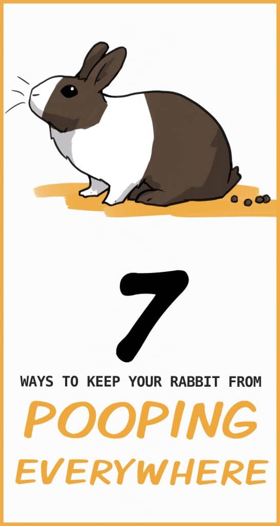 7 Tips to Prevent Your Rabbit From Pooping Everywhere