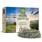 Timothy Hay For Rabbits: Giving Your Pet The Best