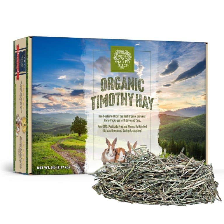 Timothy Hay For Rabbits Giving Your Pet The Best