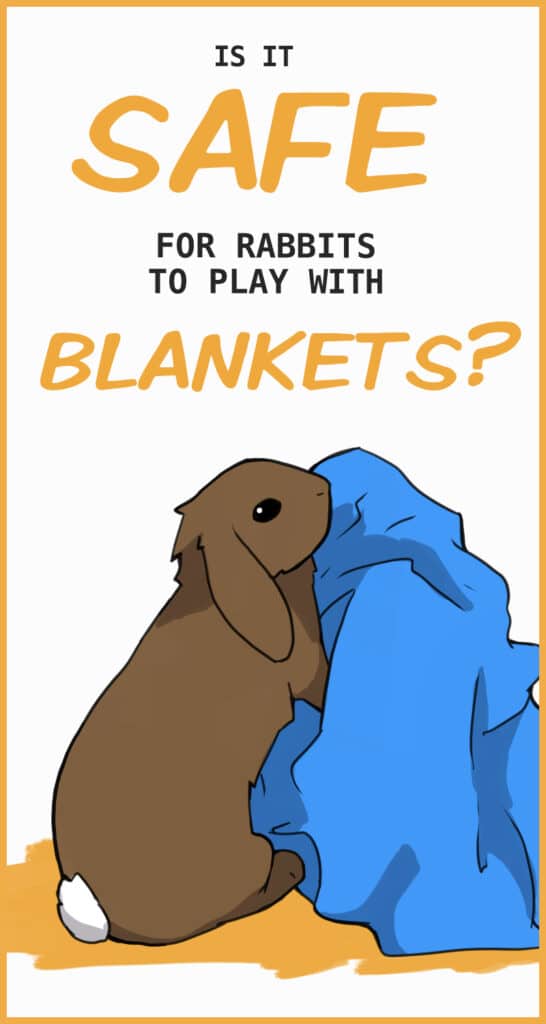 Is it Okay to Let Your Rabbit Play With Blankets or Towels?
