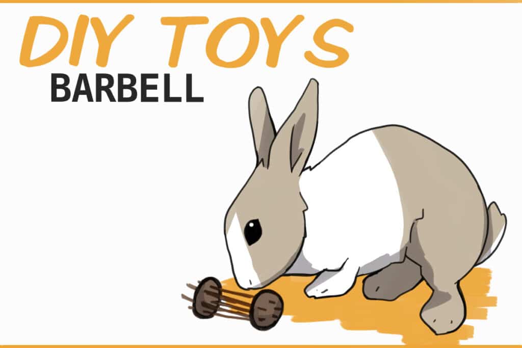 DIY Rabbit 