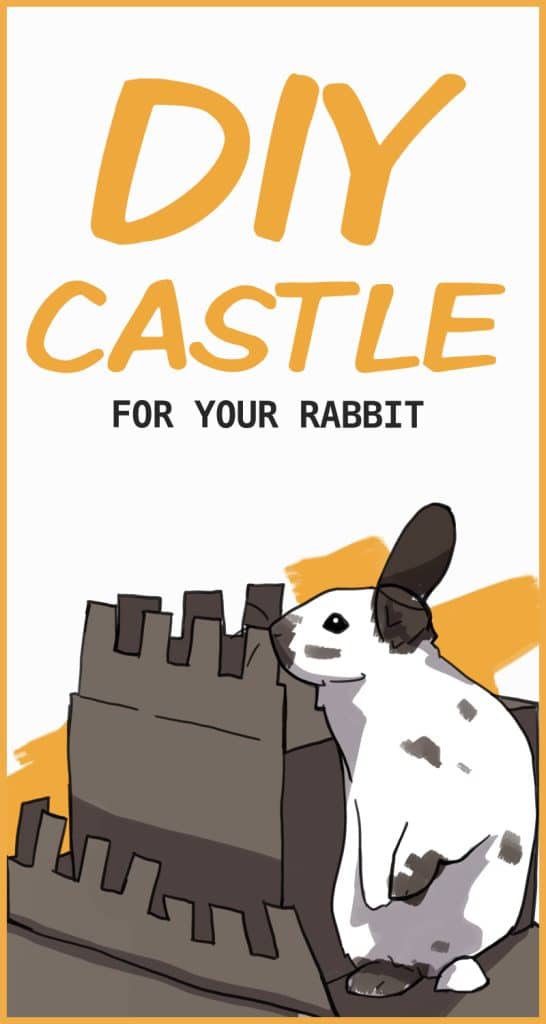 DIY Cardboard Castle for Your Rabbit
